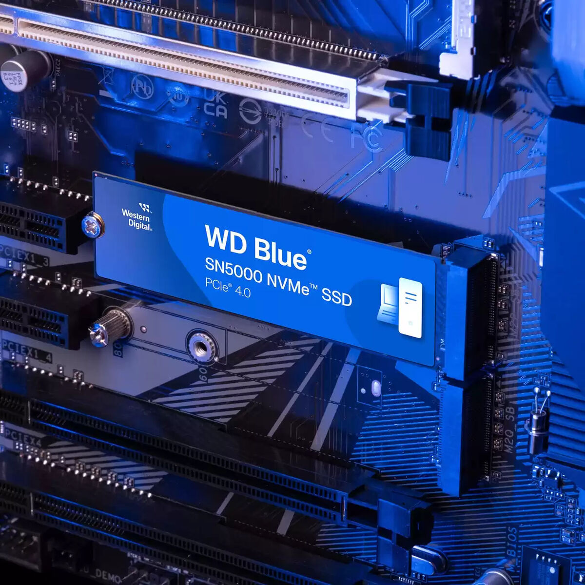Hårddisk Western Digital Blue SN5000 500 GB SSD - 3