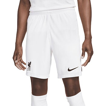 Sportshorts för män Nike DN2725-100-M