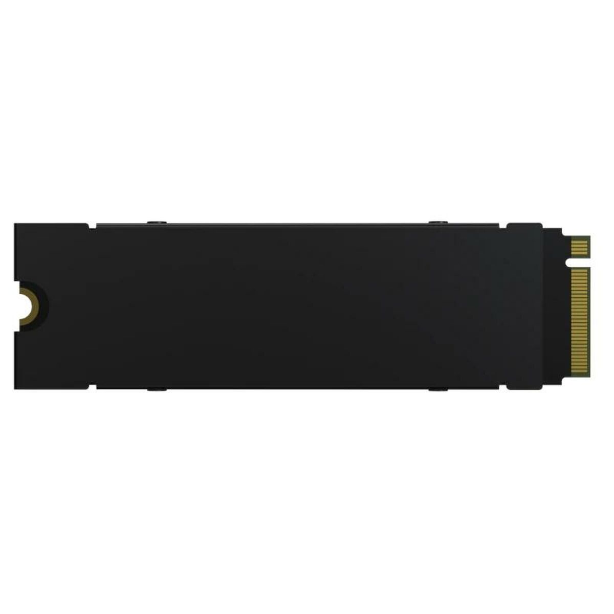 Hårddisk Predator BL.9BWWR.121 512 GB SSD - 4