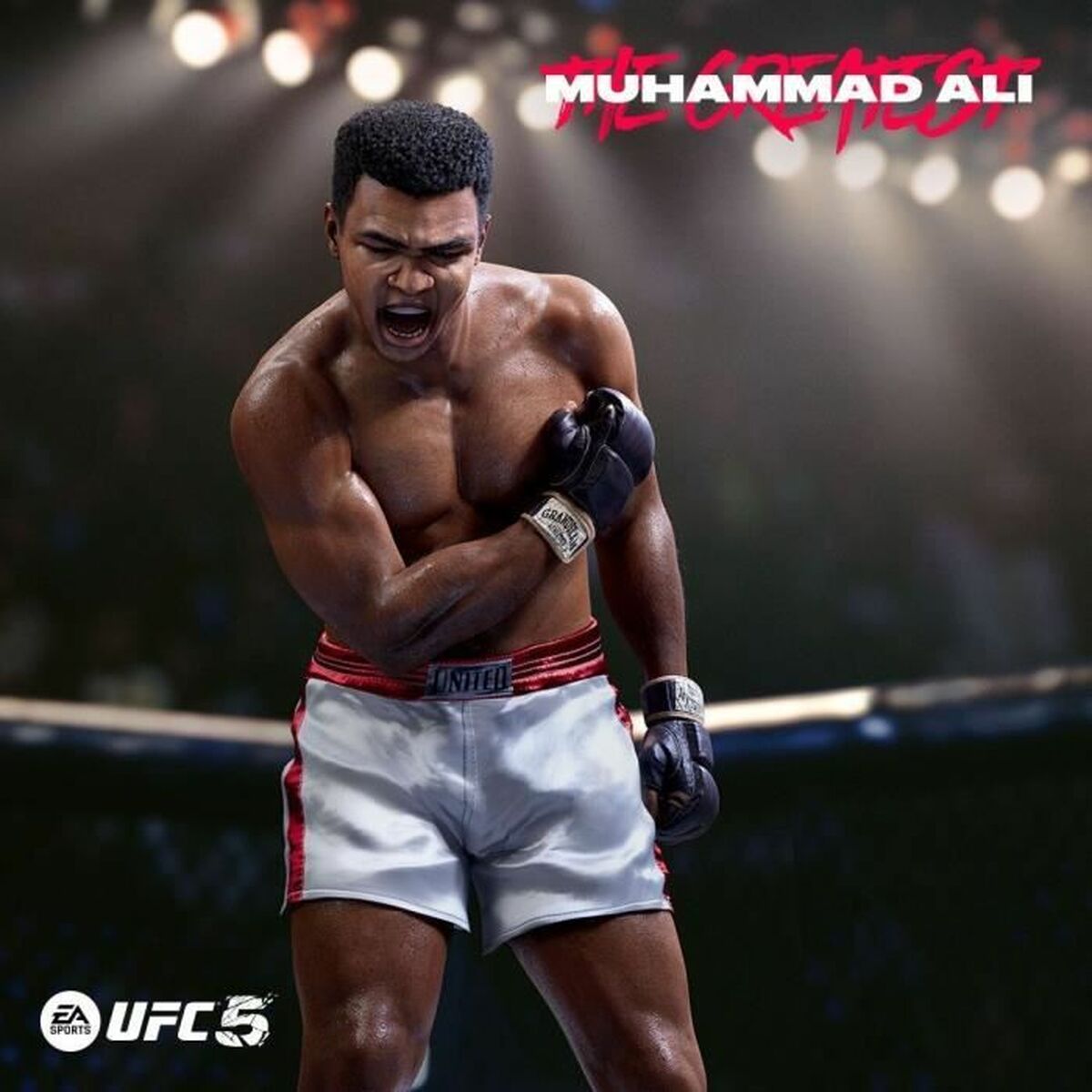 PlayStation 5 Videospel Electronic Arts UFC 5 2316 Delar - 4
