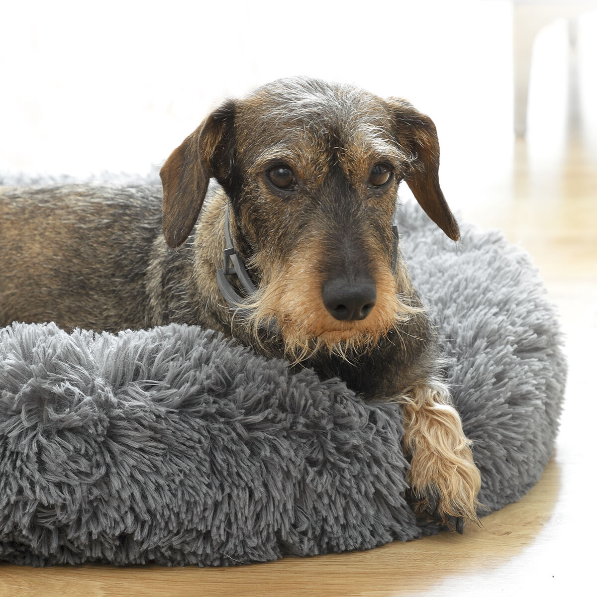Anti-stress husdjurssäng Bepess InnovaGoods Ø 40 cm - 4