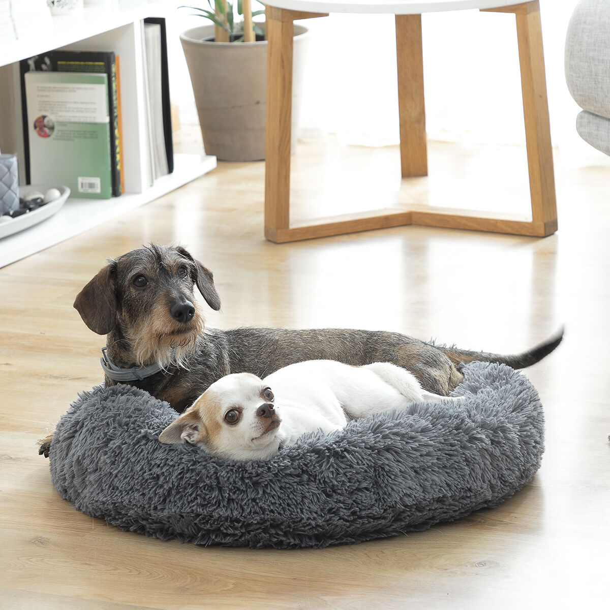 Anti-stress husdjurssäng Bepess InnovaGoods Ø 40 cm - 3