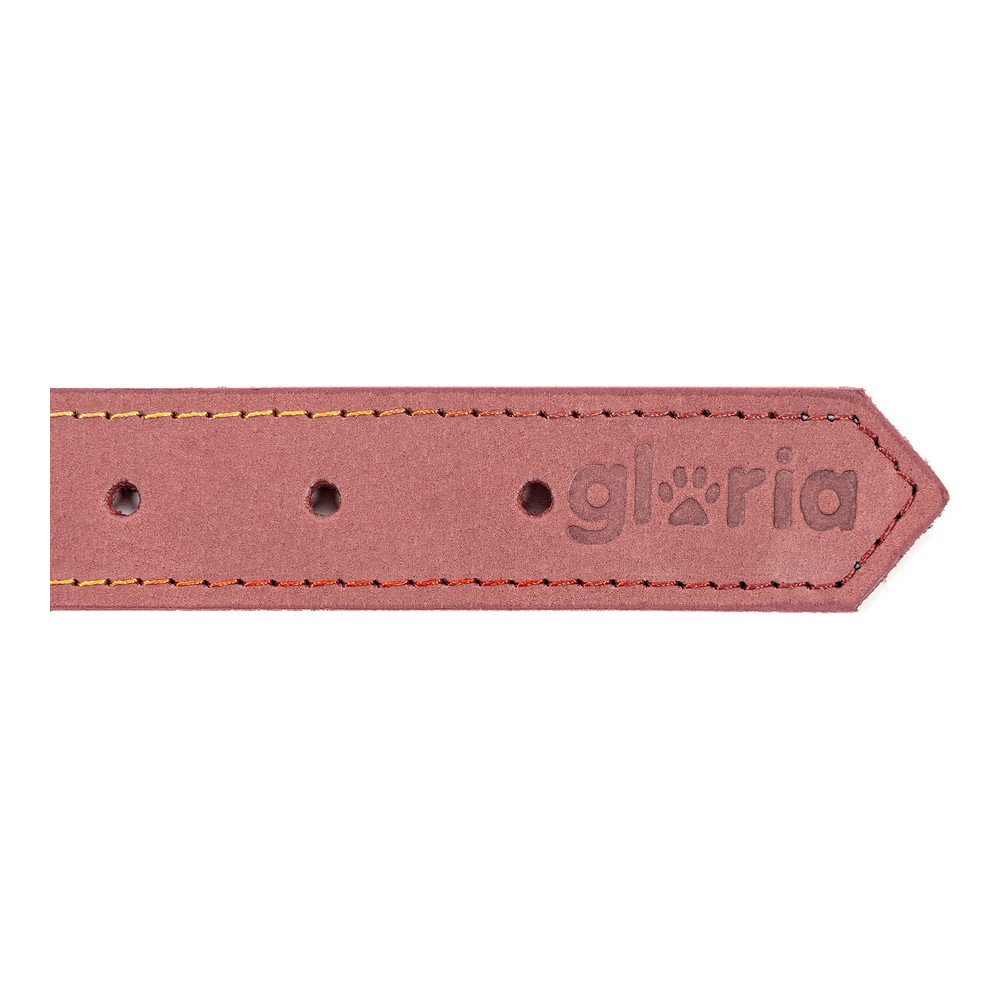 Hundhalsband Gloria Oasis Rosa (70 x 3 cm) - 2