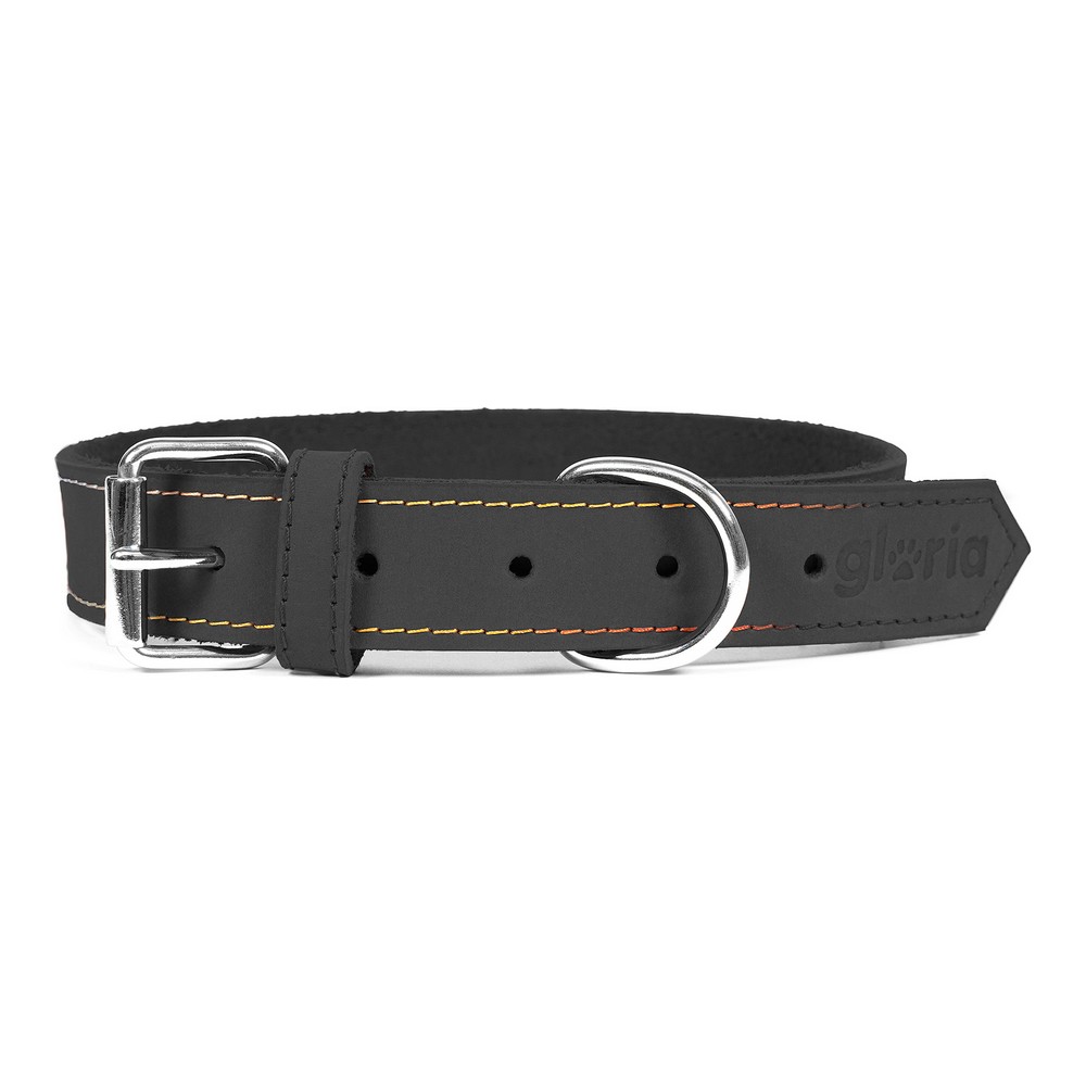 Hundhalsband Gloria Oasis Svart (55 x 2,5 cm)
