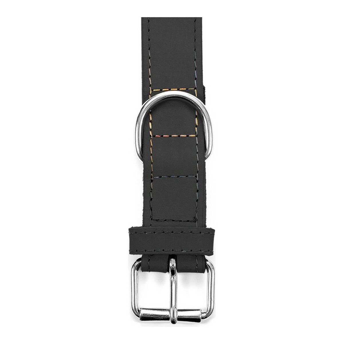 Hundhalsband Gloria Oasis Svart (55 x 2,5 cm) - 10
