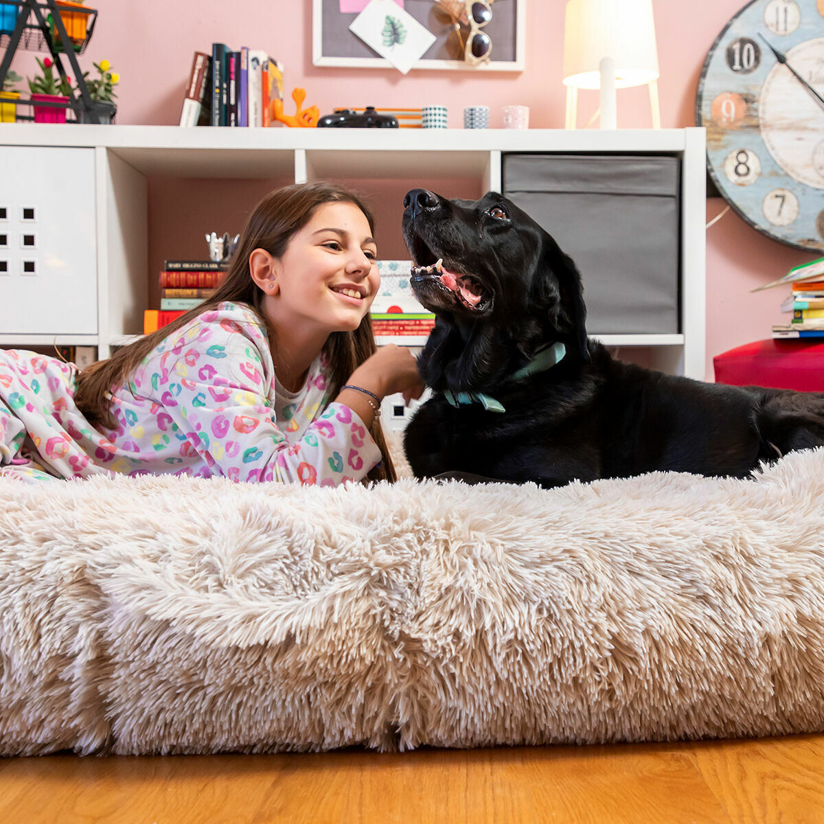 Hundsäng för människor | Human Dog Bed XXL InnovaGoods Beige - 12