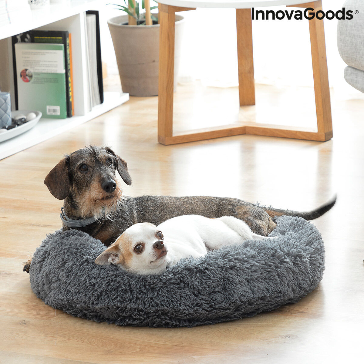 Anti-stress husdjurssäng Bepess InnovaGoods Ø 60 cm - 10