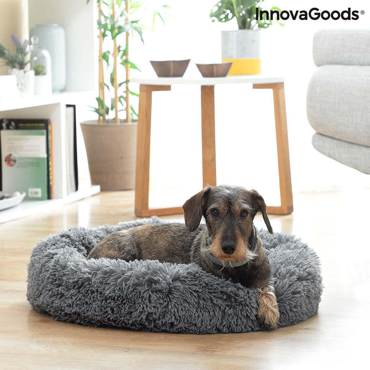 Anti-stress husdjurssäng Bepess InnovaGoods Ø 60 cm - 8