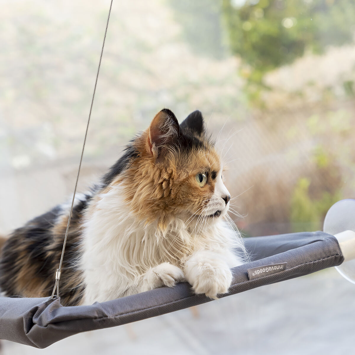 Hängmatta för katt Catlax InnovaGoods - 12