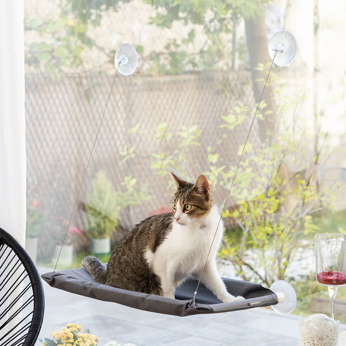 Hängmatta för katt Catlax InnovaGoods - 10