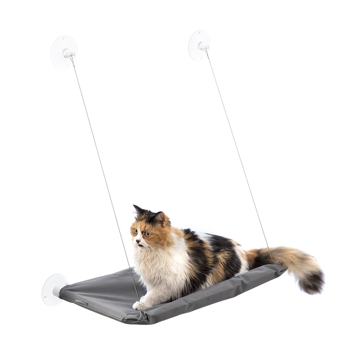 Hängmatta för katt Catlax InnovaGoods - 7