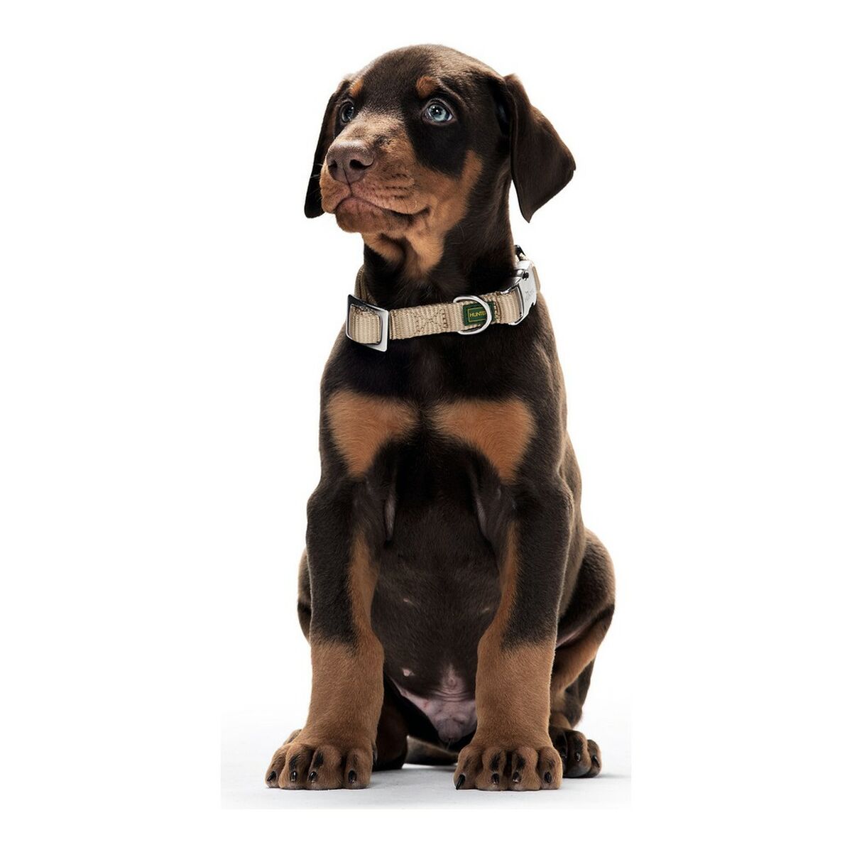 Hundhalsband Hunter Alu-Strong Orange L 40-55 cm - 6