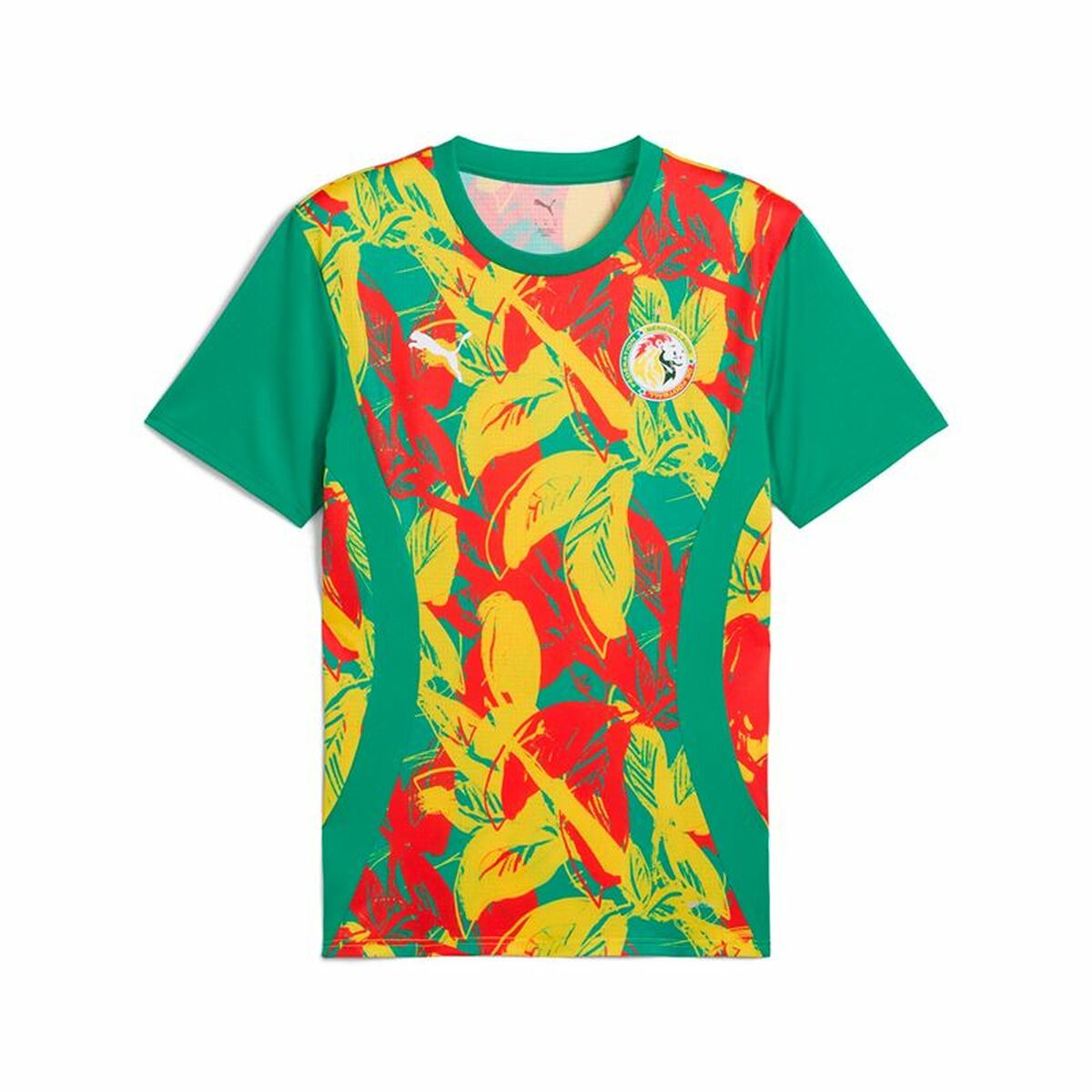 Kortärmad fotbollströja för herrar Puma Senegal Prematch Ss Grön