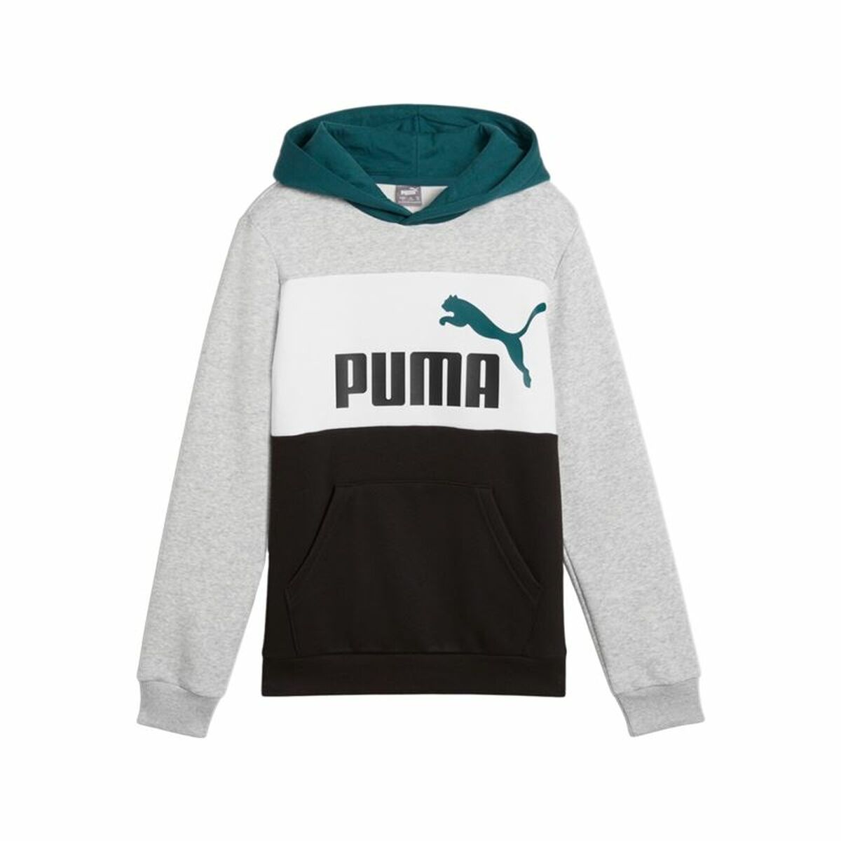 Tröja med huva Unisex Puma Essentials Block