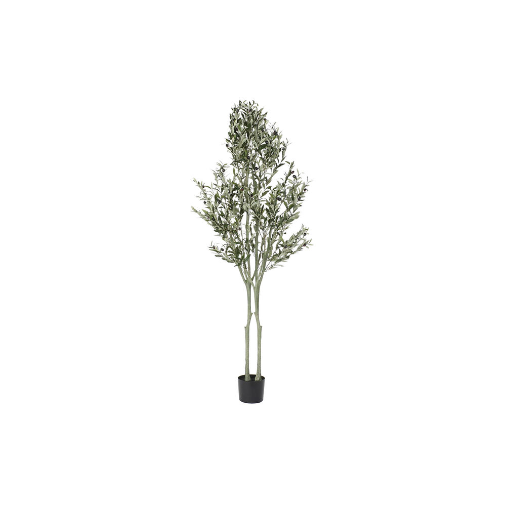Träd DKD Home Decor Polyester polypropen Olivträd 80 x 80 x 180 cm (80 x 80 x 180 cm)