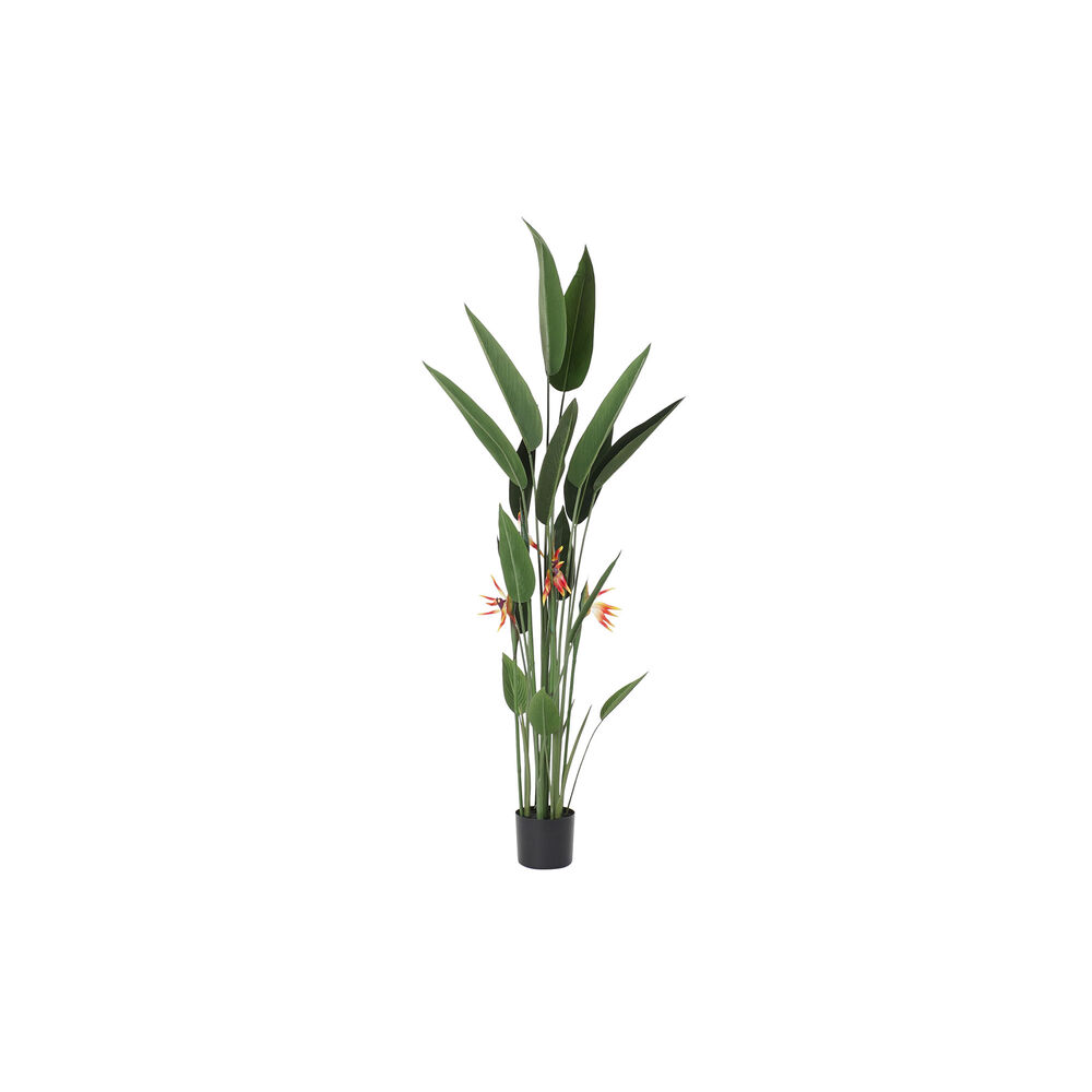 Dekorativ växt DKD Home Decor 75 x 75 x 180 cm Orange Grön Gul polypropen Paradisets Fågel