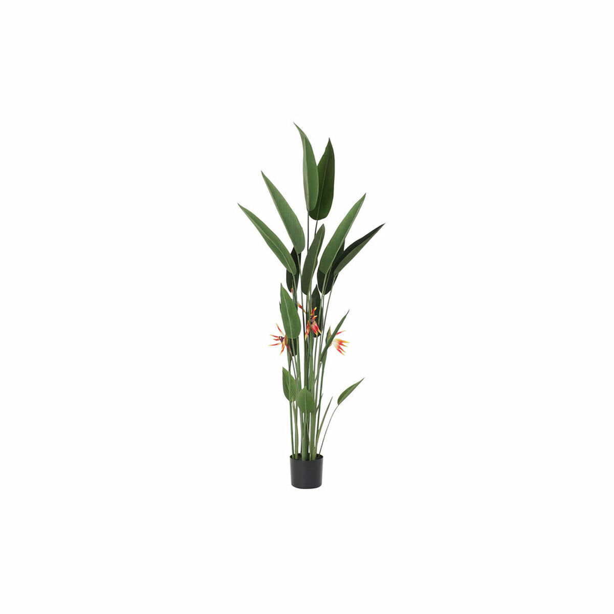Dekorativ växt DKD Home Decor 75 x 75 x 180 cm Orange Grön Gul polypropen Paradisets Fågel - 5