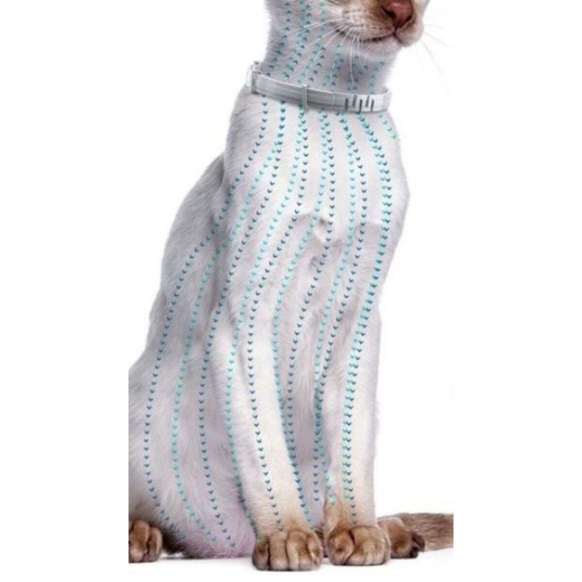 Anti-parasite collar Seresto - 10