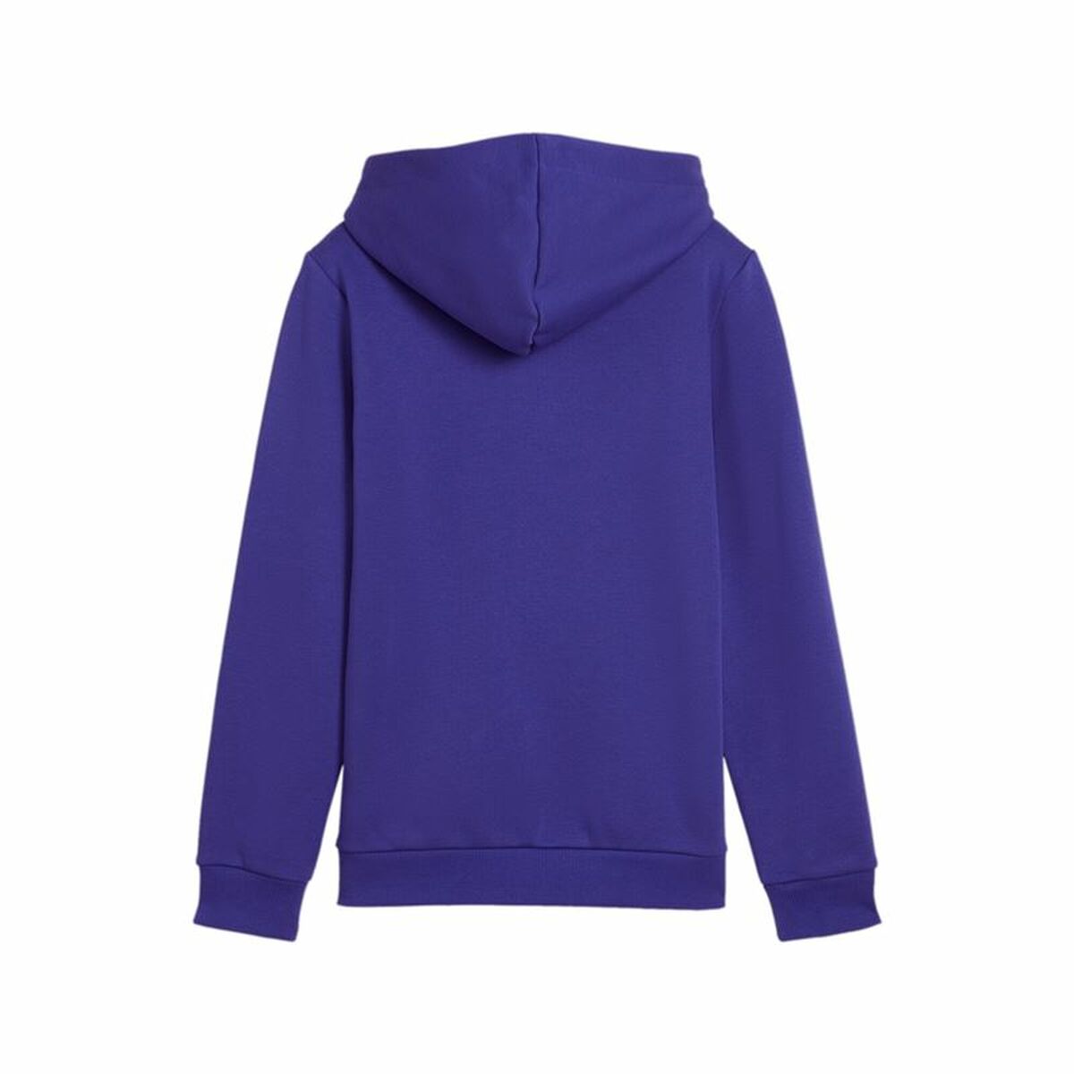 Tröja med huva Unisex Puma Essentials+ 2 Col Big Logo Blå - 2