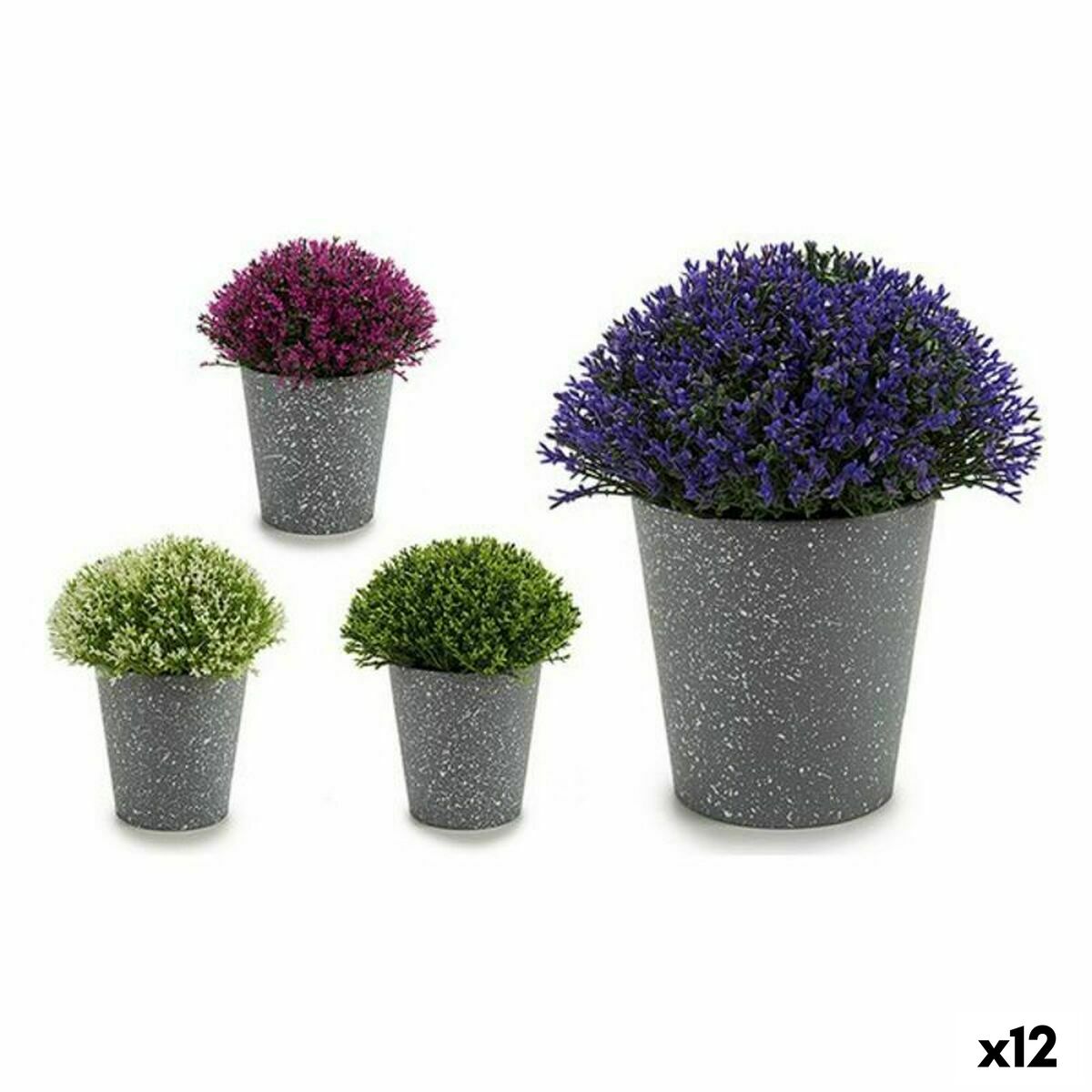 Dekorativ växt Ibergarden Plast 14 x 15 x 14 cm 14 x 16 x 14 cm (12 antal)