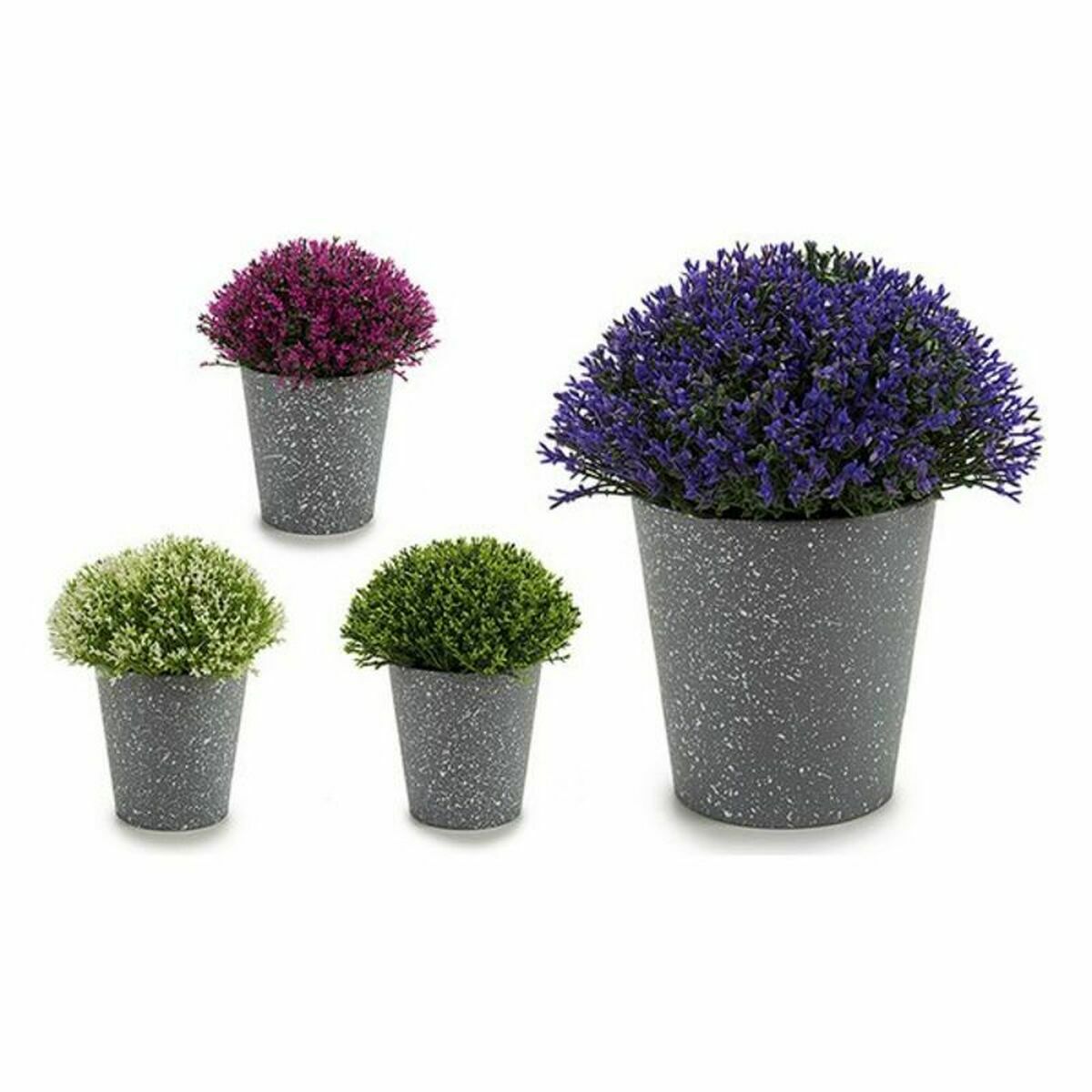 Dekorativ växt Ibergarden Plast 14 x 15 x 14 cm 14 x 16 x 14 cm (12 antal) - 2