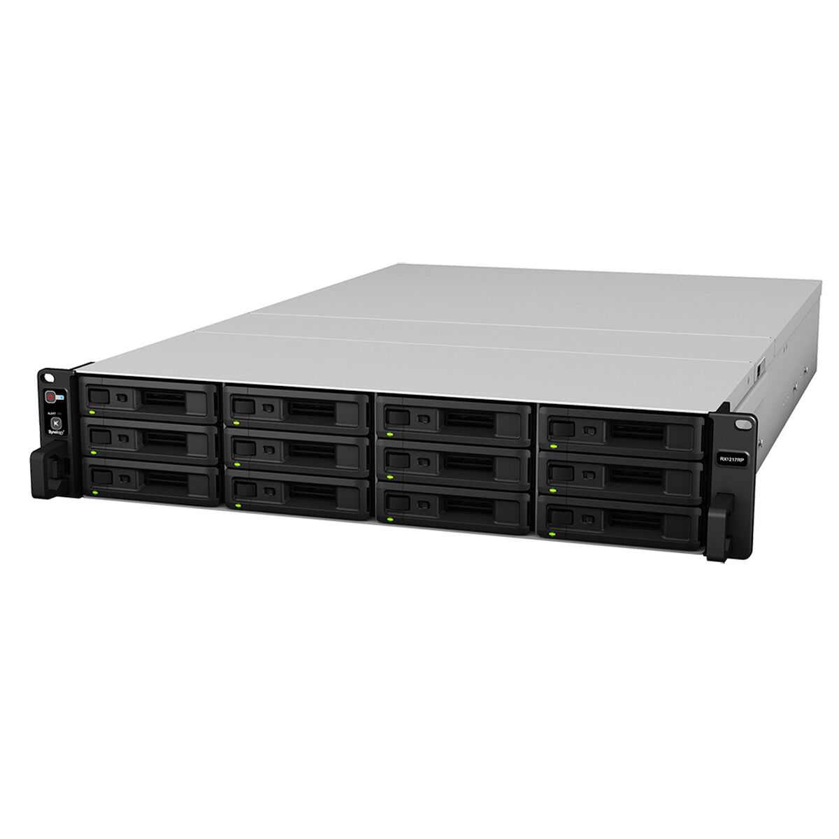 Nätlagringsenhet NAS Synology RX1217RP Svart Svart/Grå - 3