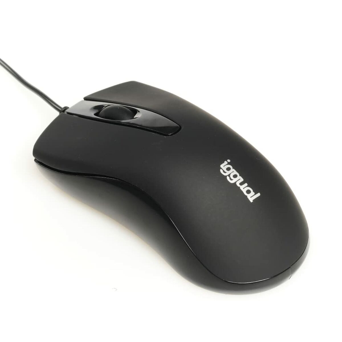 Mus iggual IGG317648 - 3