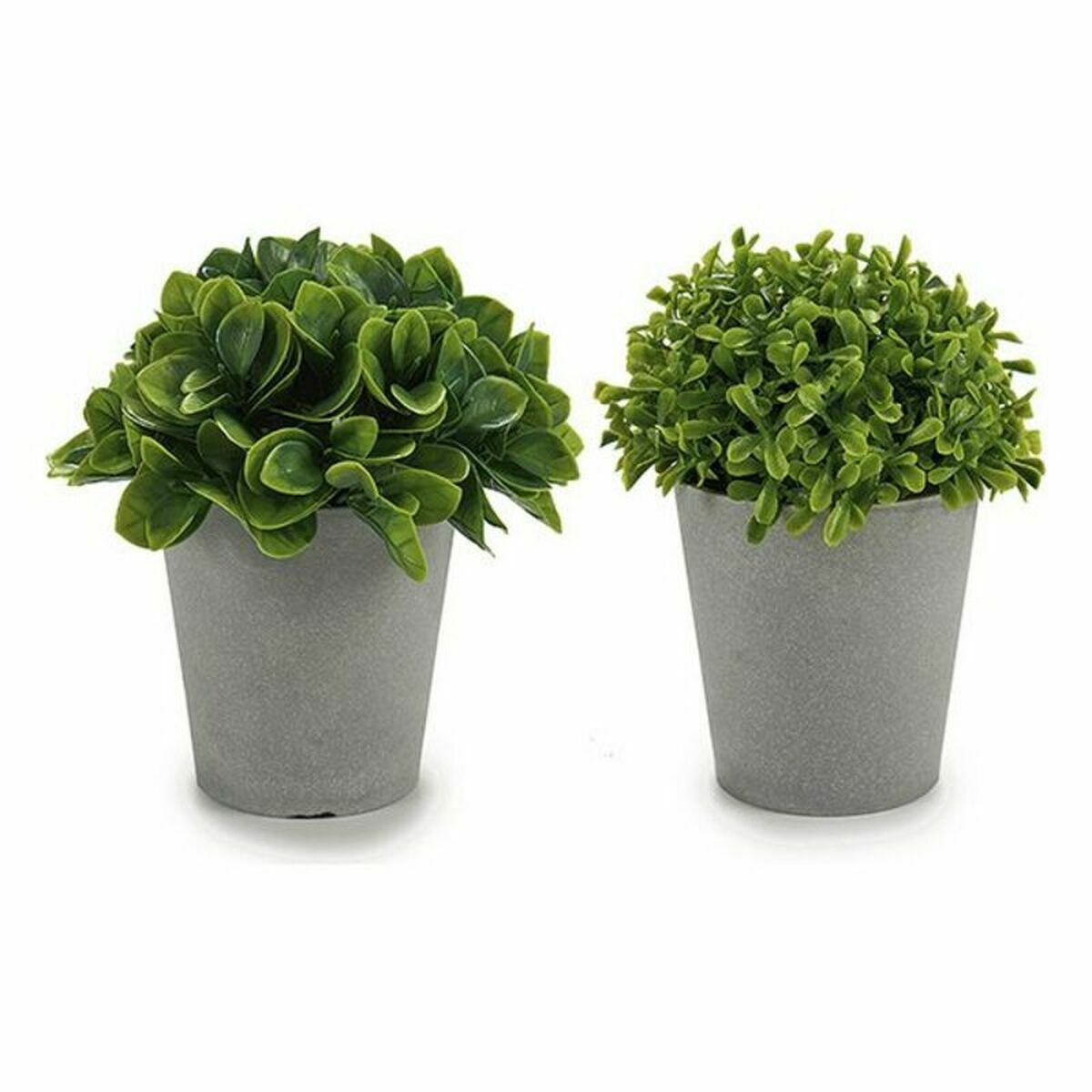 Dekorativ växt Ibergarden Plast 13 x 17 x 13 cm 14 x 16 x 14 cm (12 antal) - 2
