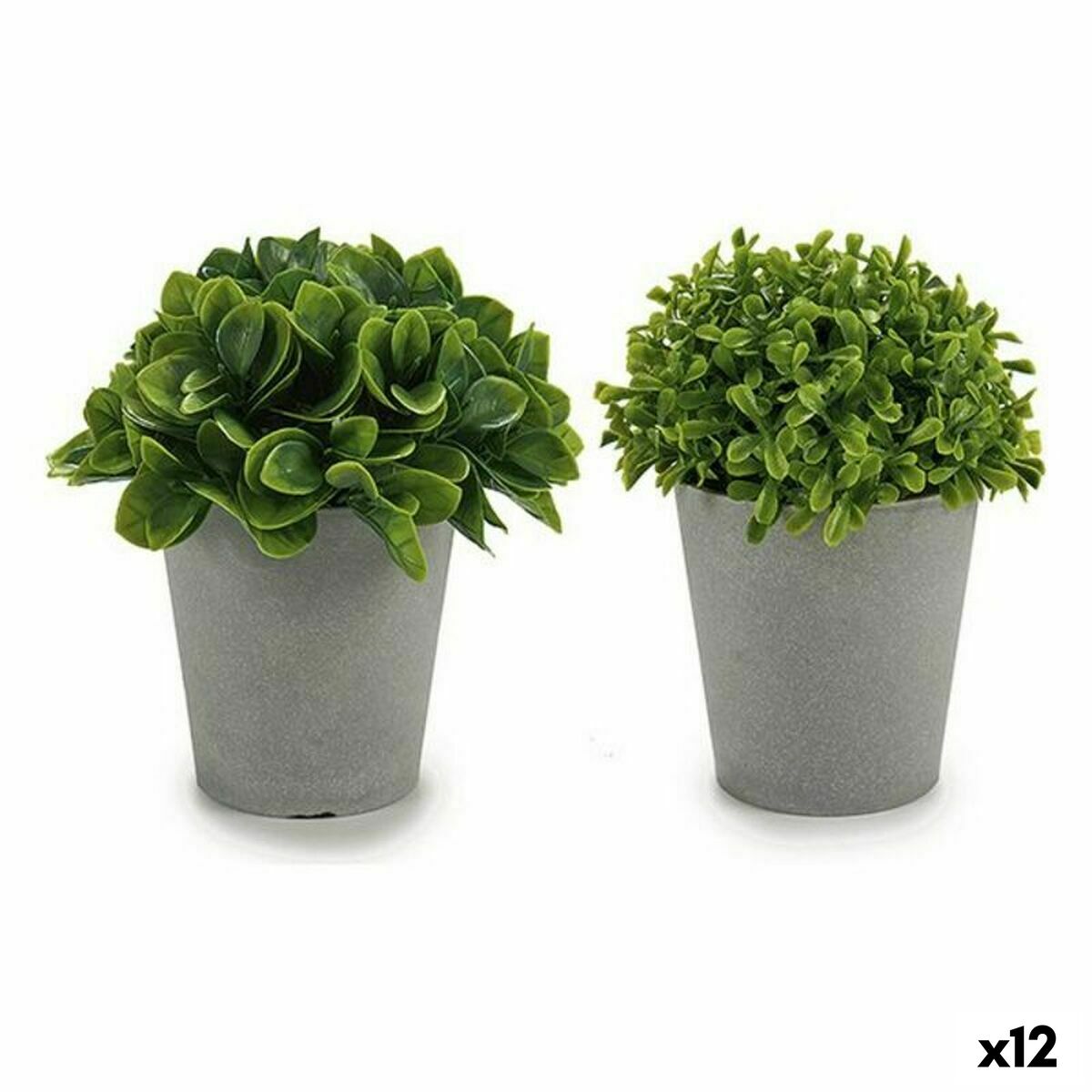 Dekorativ växt Ibergarden Plast 13 x 17 x 13 cm 14 x 16 x 14 cm (12 antal) - 3