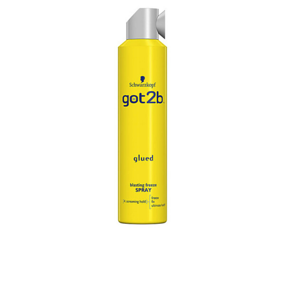 Hårspray Schwarzkopf 1253026 300 ml