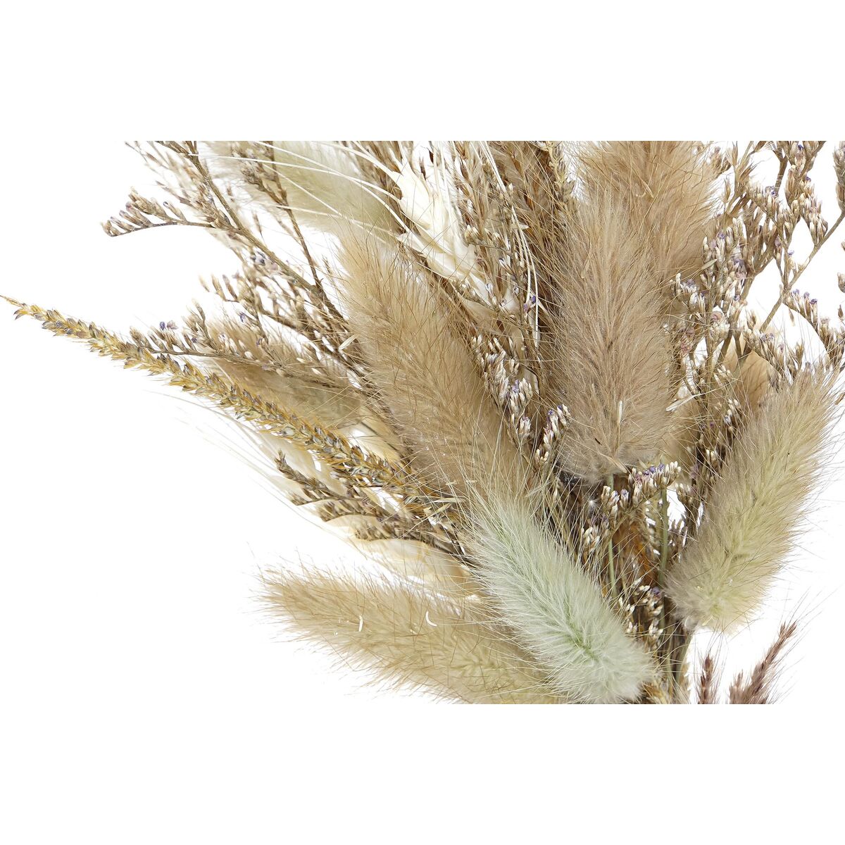 Dekorativ blomma DKD Home Decor - 3