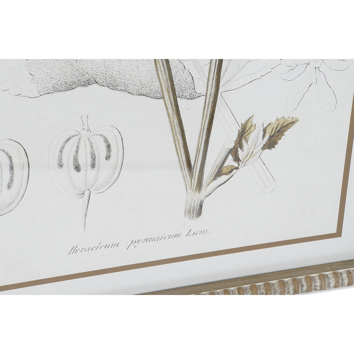 Tavla DKD Home Decor Modern Botaniska växter 45 x 2,5 x 60 cm (6 antal) - 2