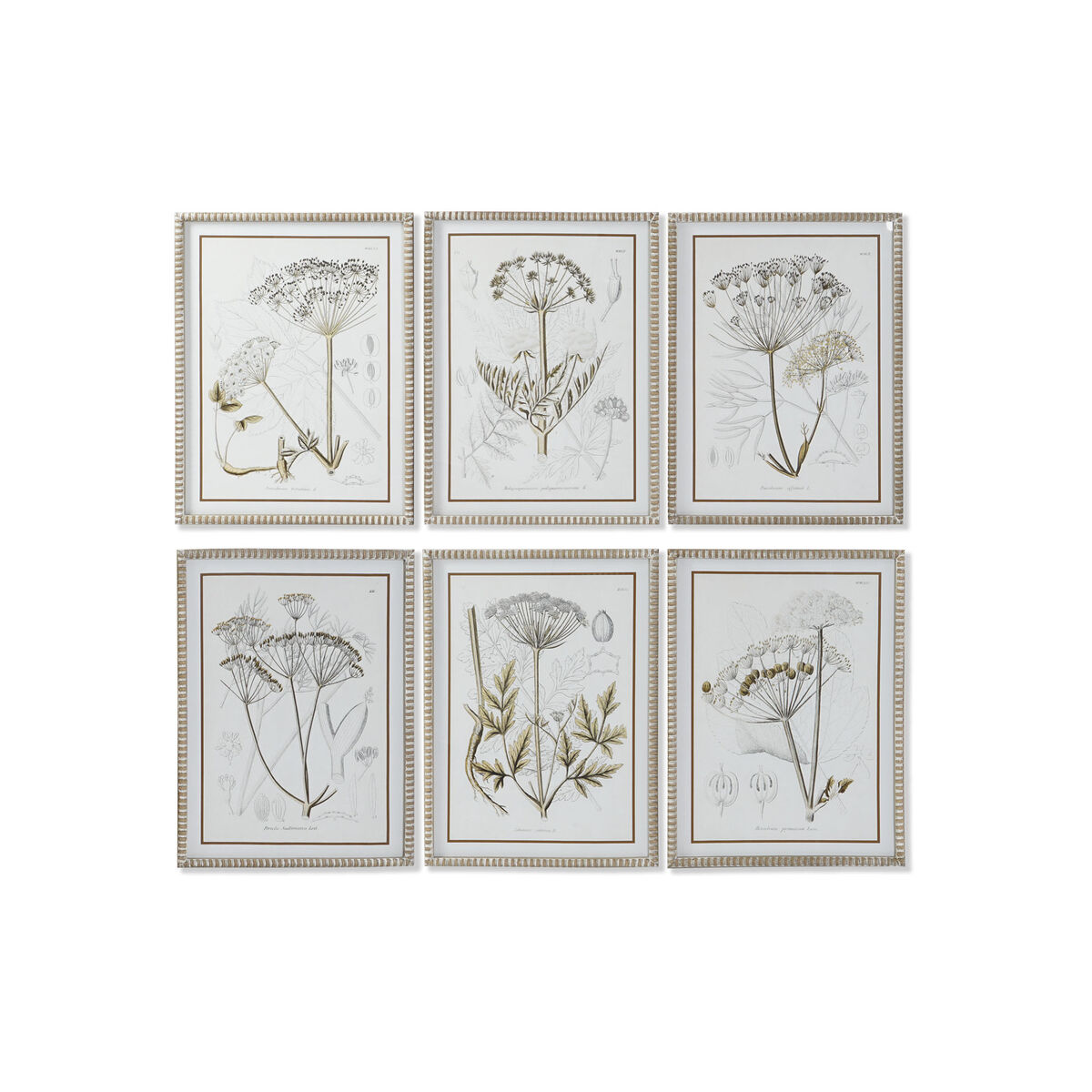 Tavla DKD Home Decor Modern Botaniska växter 45 x 2,5 x 60 cm (6 antal)