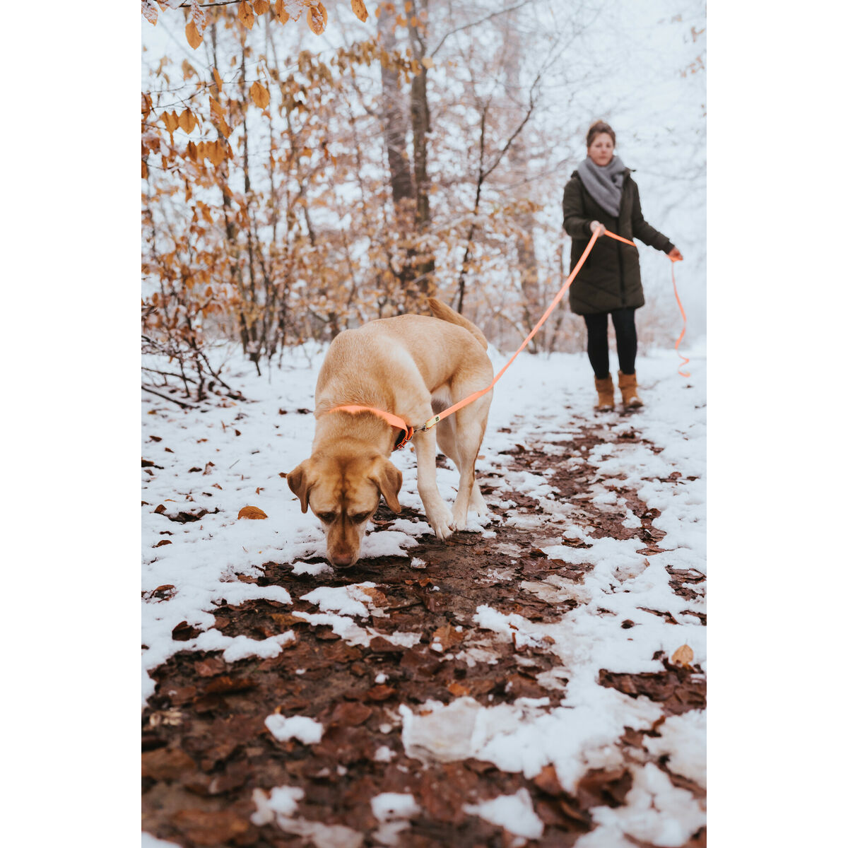 Hundhalsband Hunter Convenience 53-61 cm L/XL Orange - 2