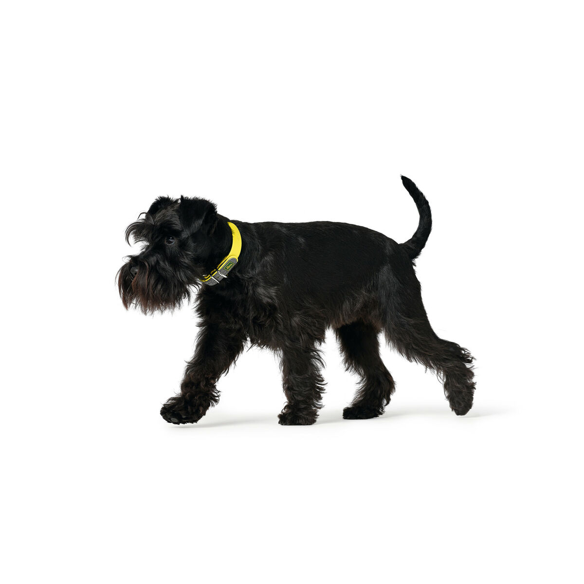 Hundhalsband Hunter Convenience 47-55 cm L Gul - 2