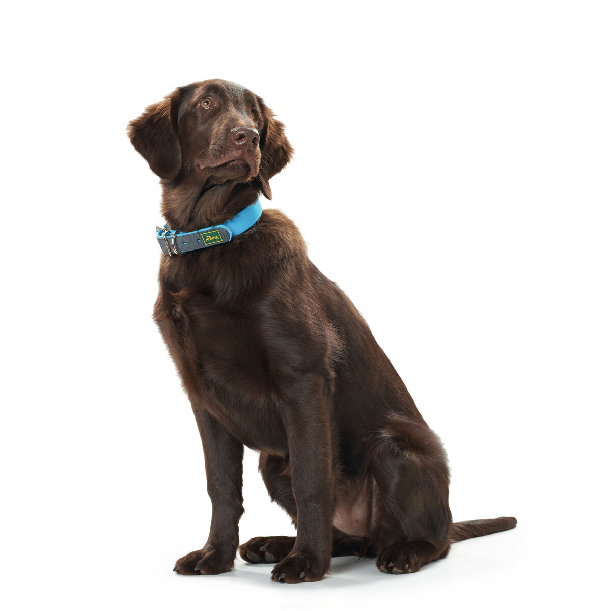 Hundhalsband Hunter Convenience 47-55 cm L Turkos - 2