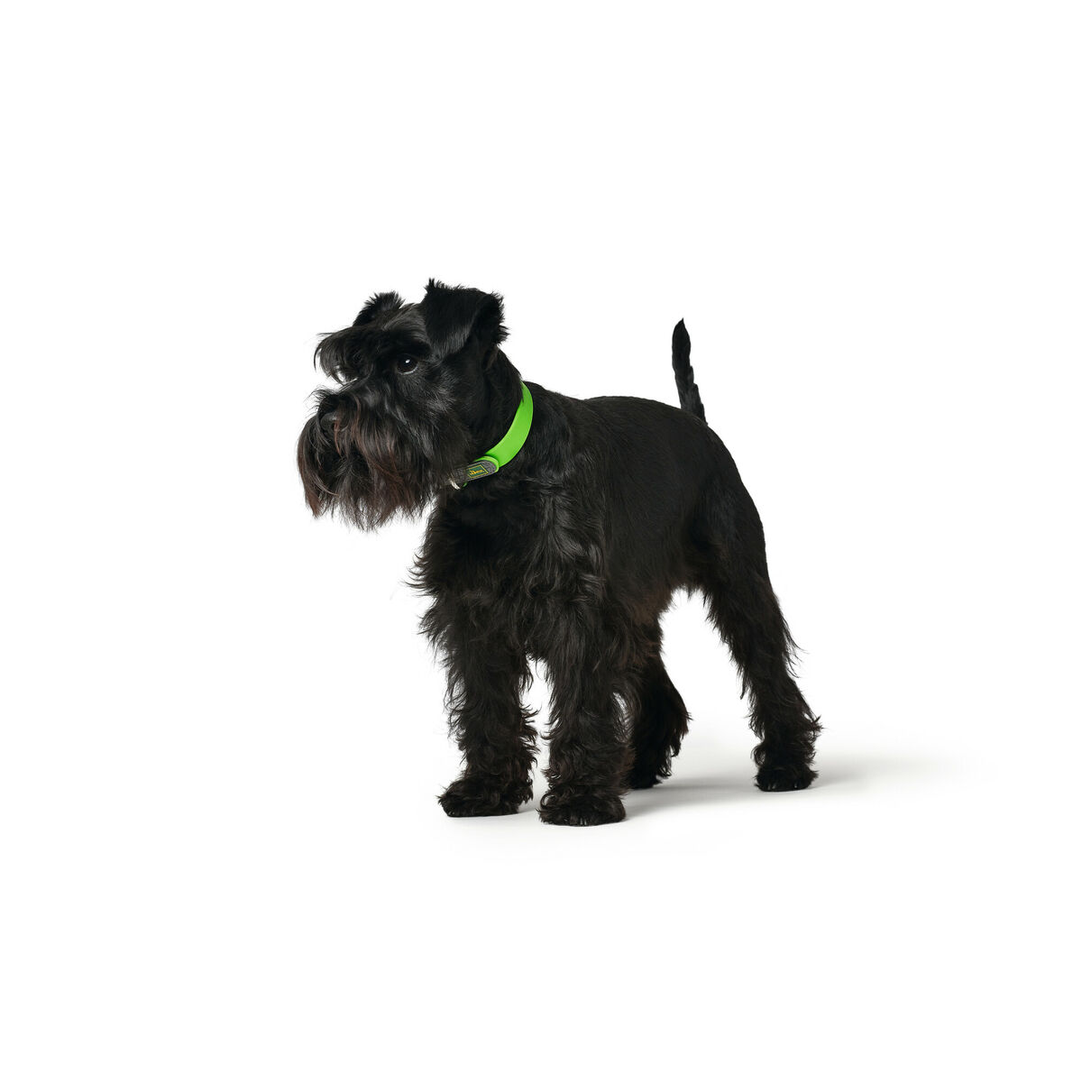Hundhalsband Hunter Convenience 47-55 cm L Grön - 2