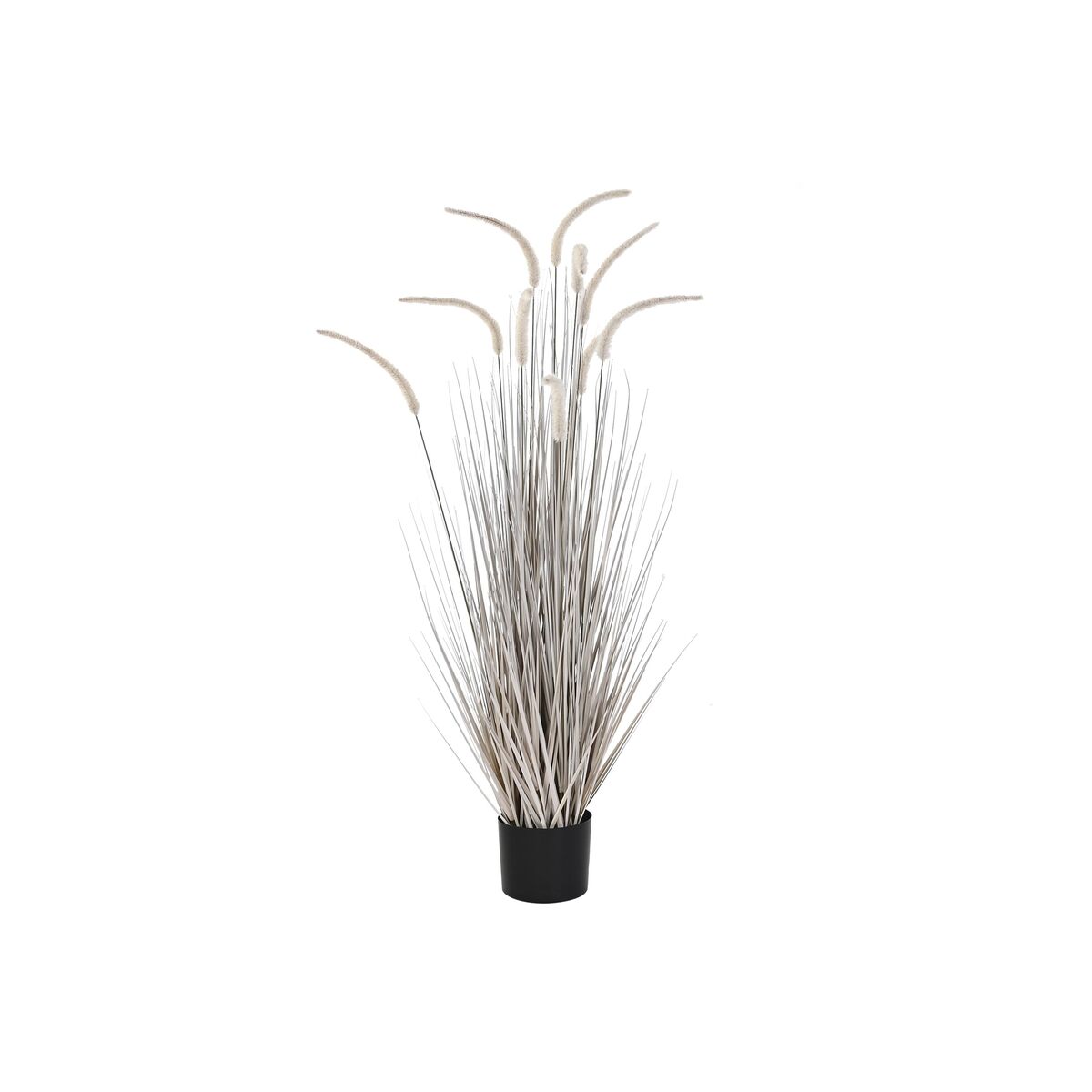 Dekorativ växt DKD Home Decor Ljusgrå (Renoverade B) - 3