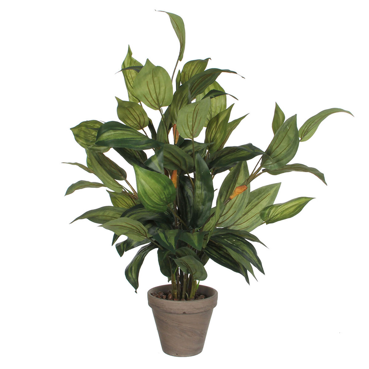 Dekorativ växt Mica Decorations Hosta Grön PVC (15,5 x 65 cm) - 2
