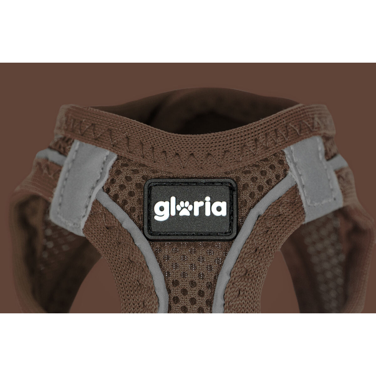 Hundsele Gloria 31-34,6 cm Brun S 27-28 cm - 3