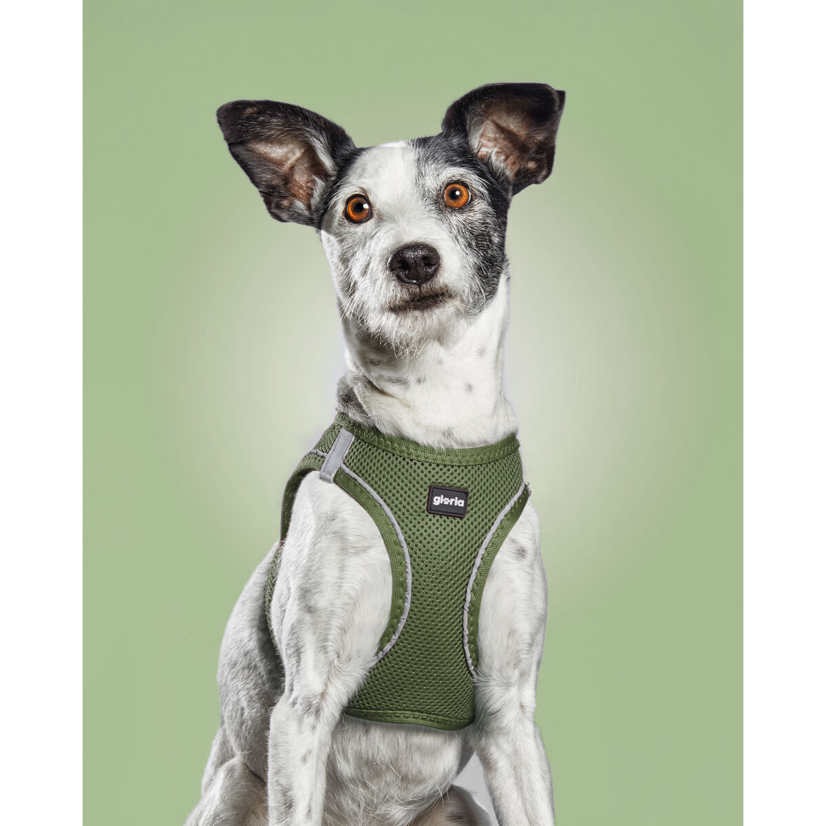 Hundsele Gloria 45-47 cm Grön M 32,8-35,4 cm - 3