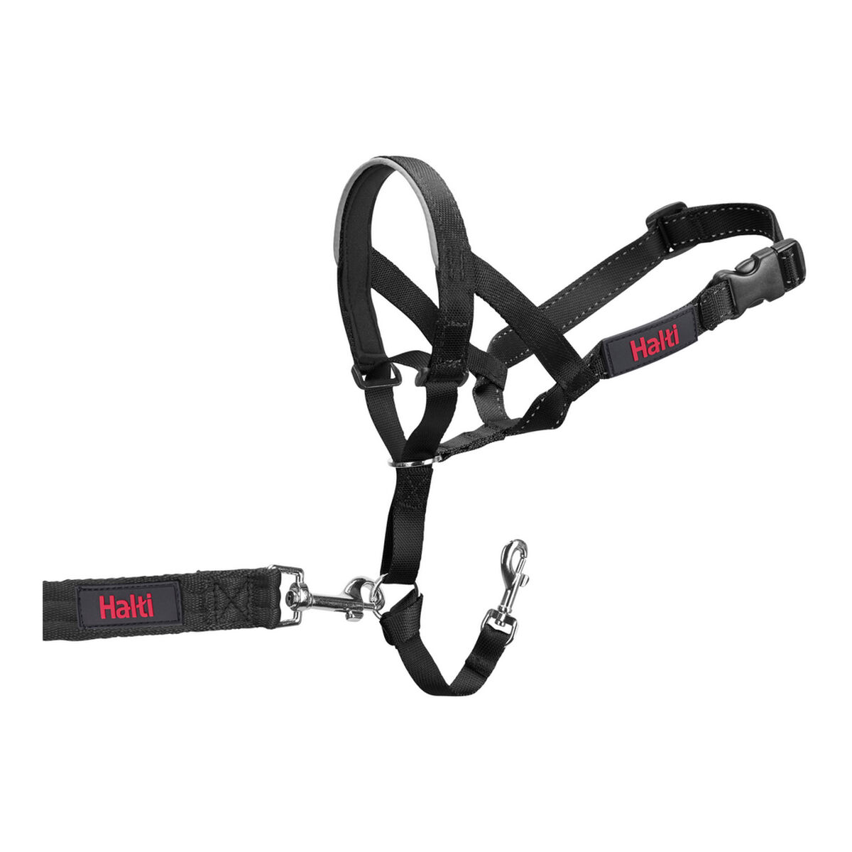 Hund utbildning kragar Company of Animals Halti Svart Munkorg (29-36 cm) - 15