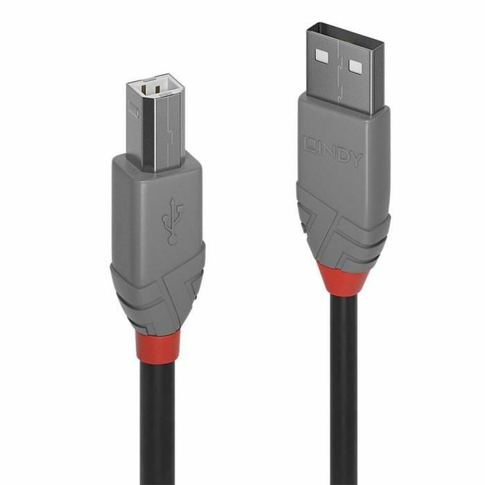 USB A till USB B Kabel LINDY 36674 3 m Grå