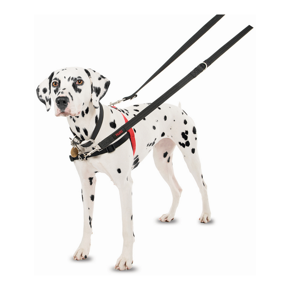 Hundsele Company of Animals Halti Svart/Röd Storlek S (36-64 cm) - 8