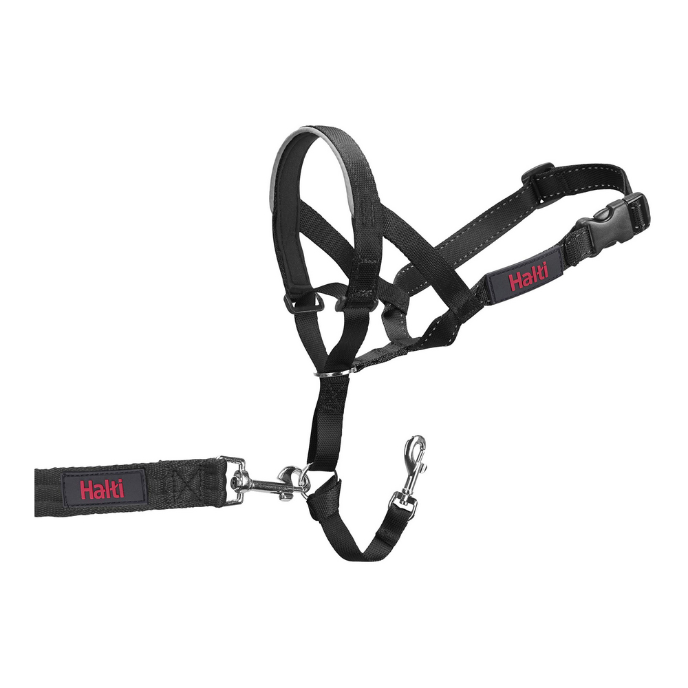 Hund utbildning kragar Company of Animals Halti Svart Munkorg (31-40 cm) - 8