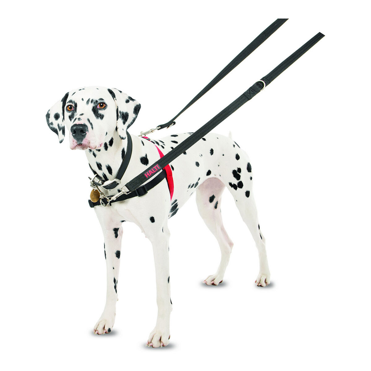 Hundsele Company of Animals Halti Svart/Röd Storlek M (58-86 cm) - 18