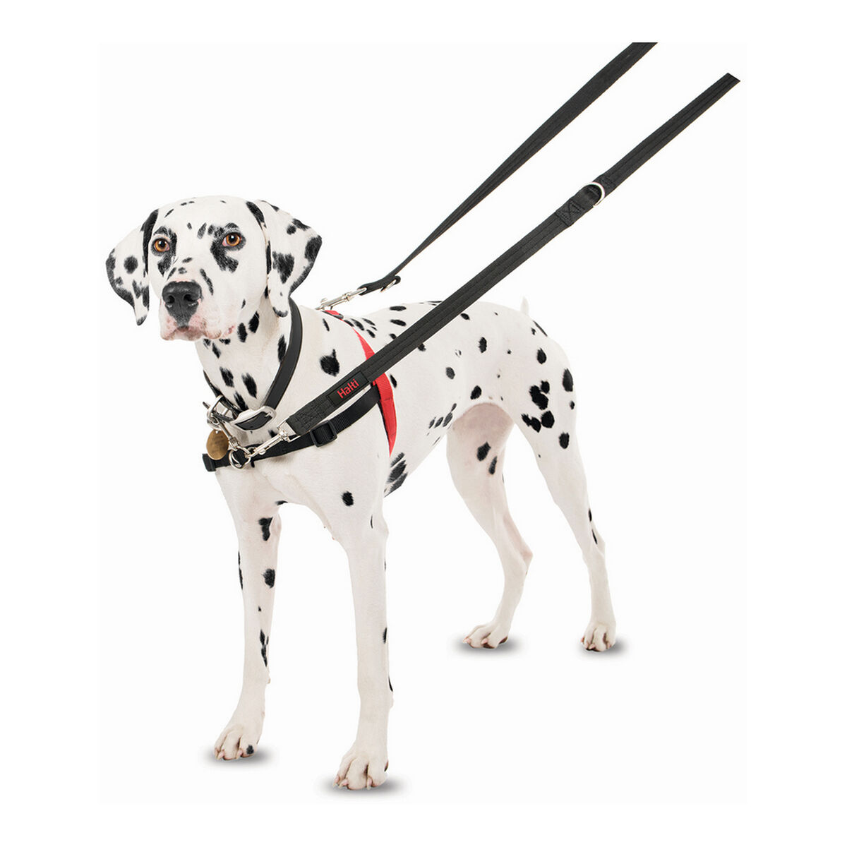 Hundsele Company of Animals Halti Svart/Röd Storlek M (58-86 cm) - 20
