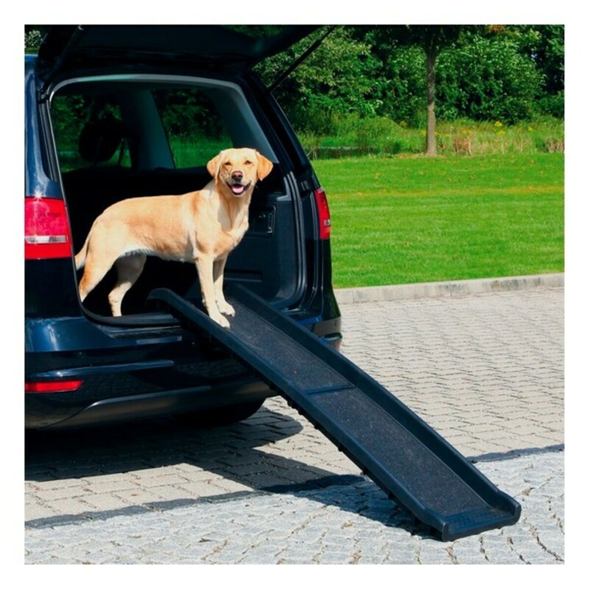 Bärbar ramp Trixie 3939 Svart Plast 40 x 156 cm - 2