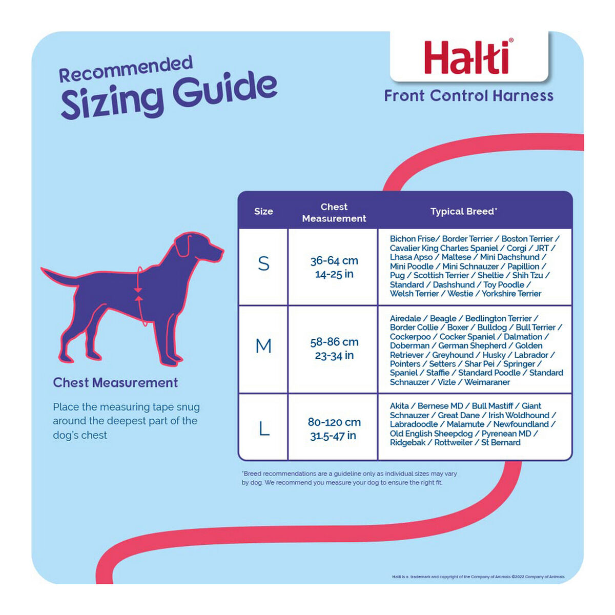 Hundsele Company of Animals Halti Svart/Röd L (80-120 cm) - 12