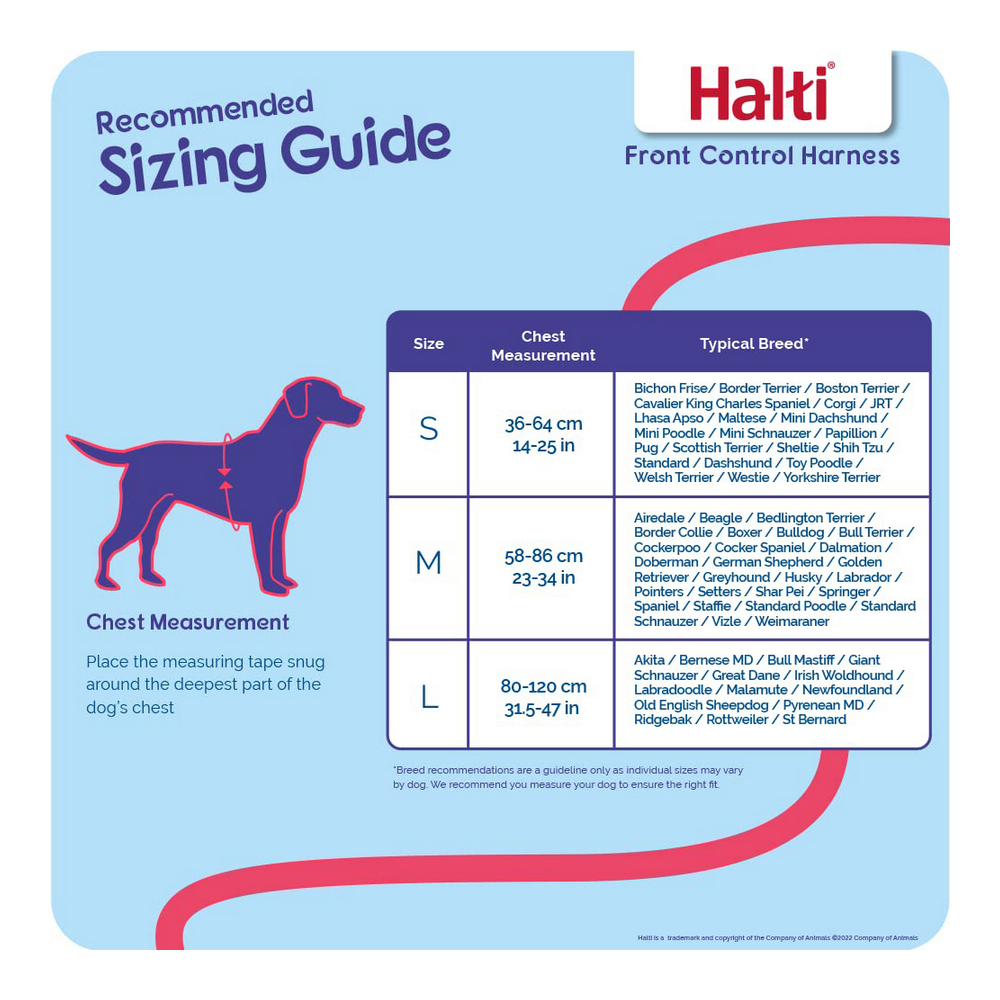 Hundsele Company of Animals Halti Svart/Röd L (80-120 cm) - 4